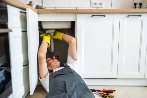 Best Affordable Plumbing Services  in French Island, WI